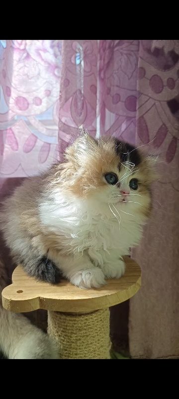 📷 小崽1